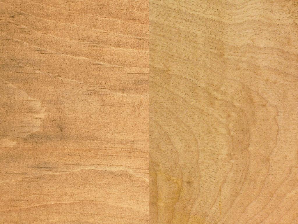 LIGNA - Pronto - Fractal Designs Inc
