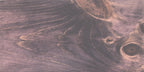 LIGNA - Pronto - Fractal Designs Inc